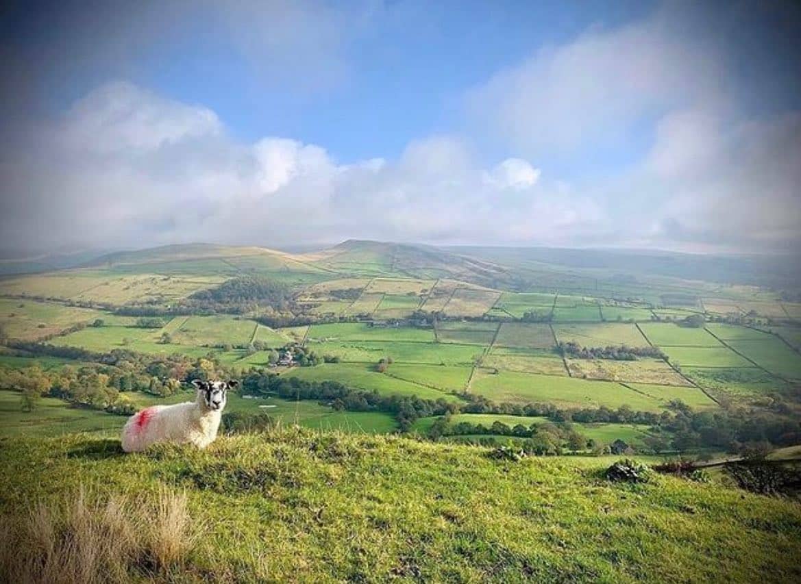 🐏 Wildlife Wednesday 🐏

The Peak District Challenge is taking place in September, registrations r...