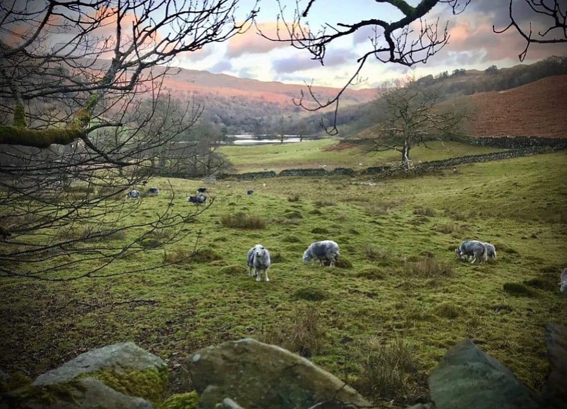 🐏 Wildlife Wednesday 🐏

The Peak District Challenge is taking place in September, registrations r...